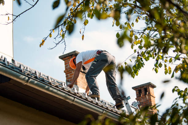 Professional Roofing Contractor in Big Lake, WA